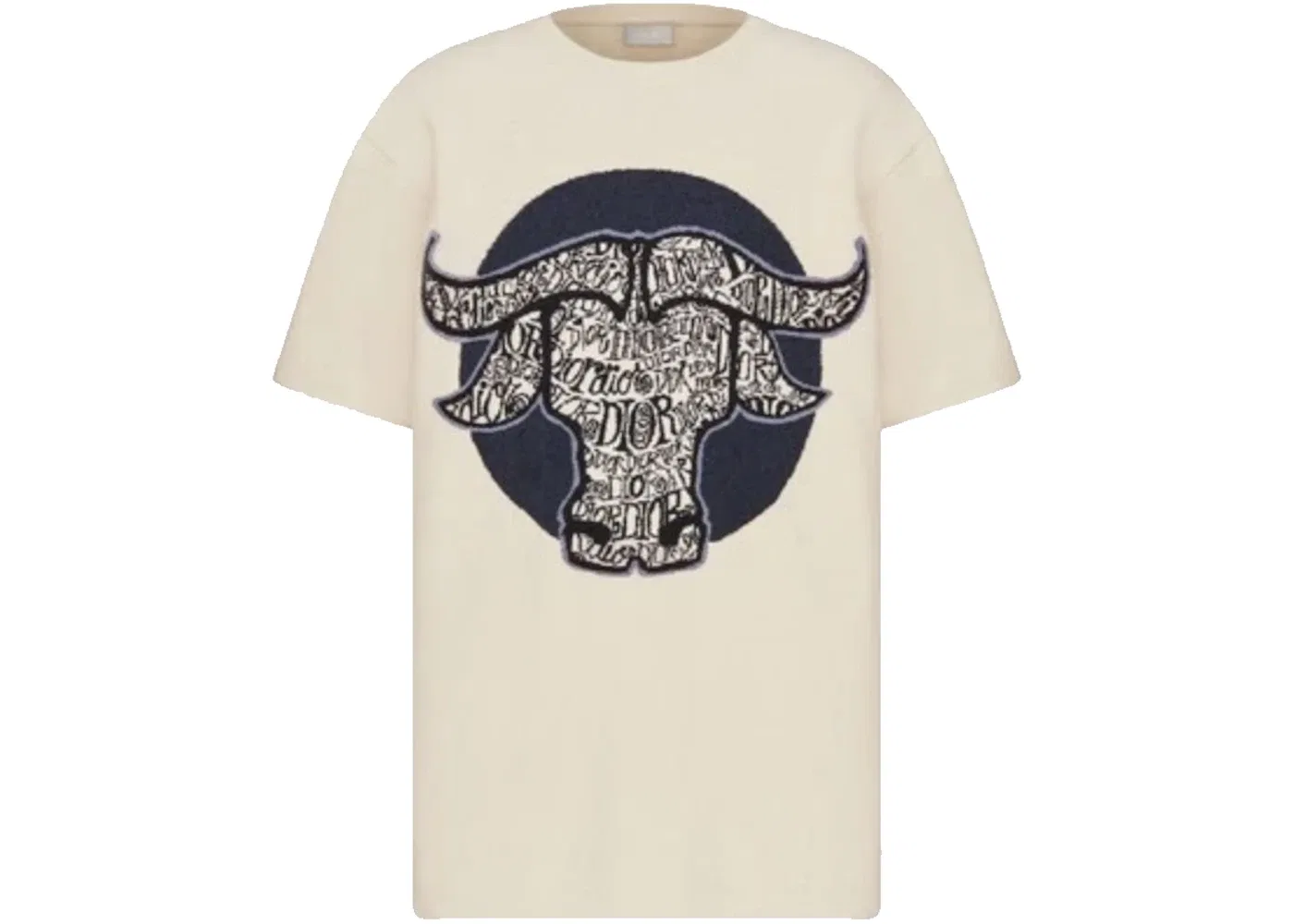 Мужская футболка оверсайз Dior And Shawn T-Shirt (SS21) Dior, White