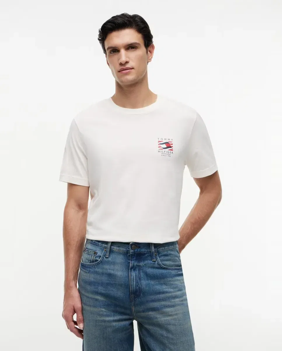 Мужская футболка с принтом Tommy Hilfiger, Blanco Roto