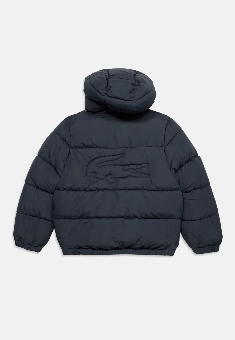 Пуховая куртка унисекс - зимняя куртка Lacoste, Graphite — фото 2