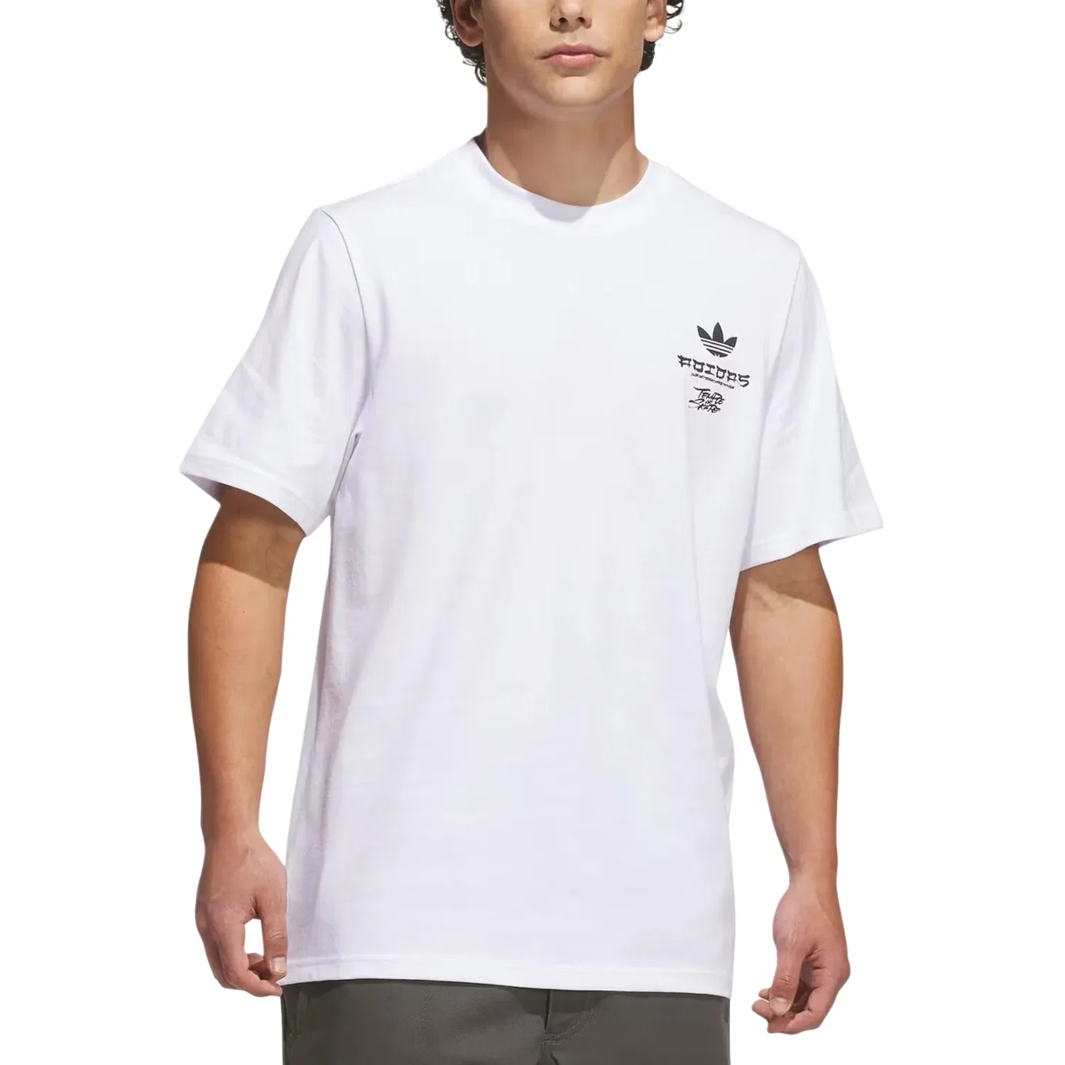 Мужская футболка для скейтбординга Skateboarding x Temple of Skate Crane T-Shirt Asia Sizing 'White' adidas, белый — фото 3