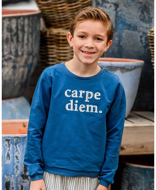 Детское худи для мальчиков с принтом Carpe Diem Brooklyn Oh Baby!, French Blue — фото 3