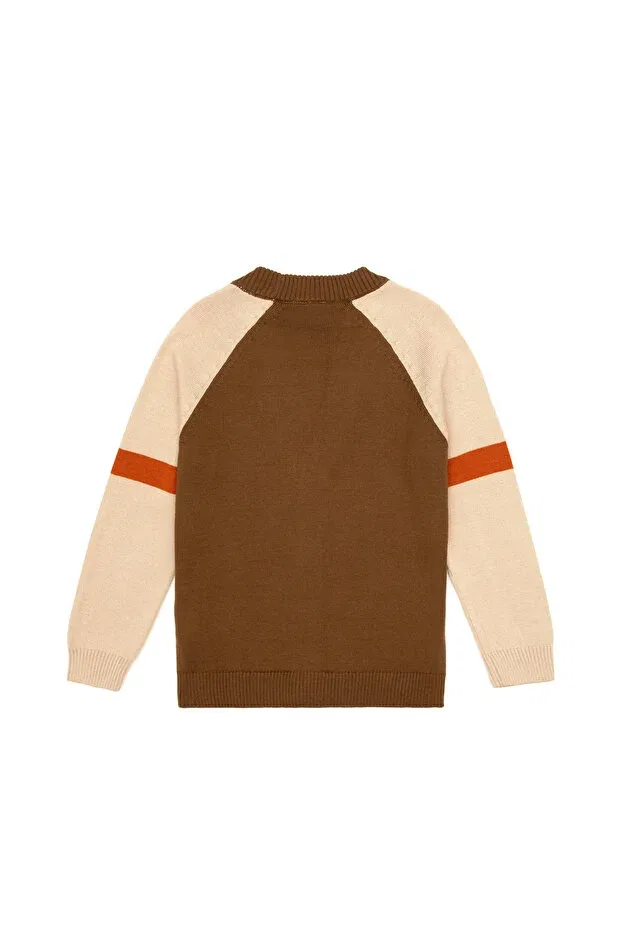 Детский кардиган для мальчиков с длинным рукавом U.S. Polo Assn., Khaki — фото 2