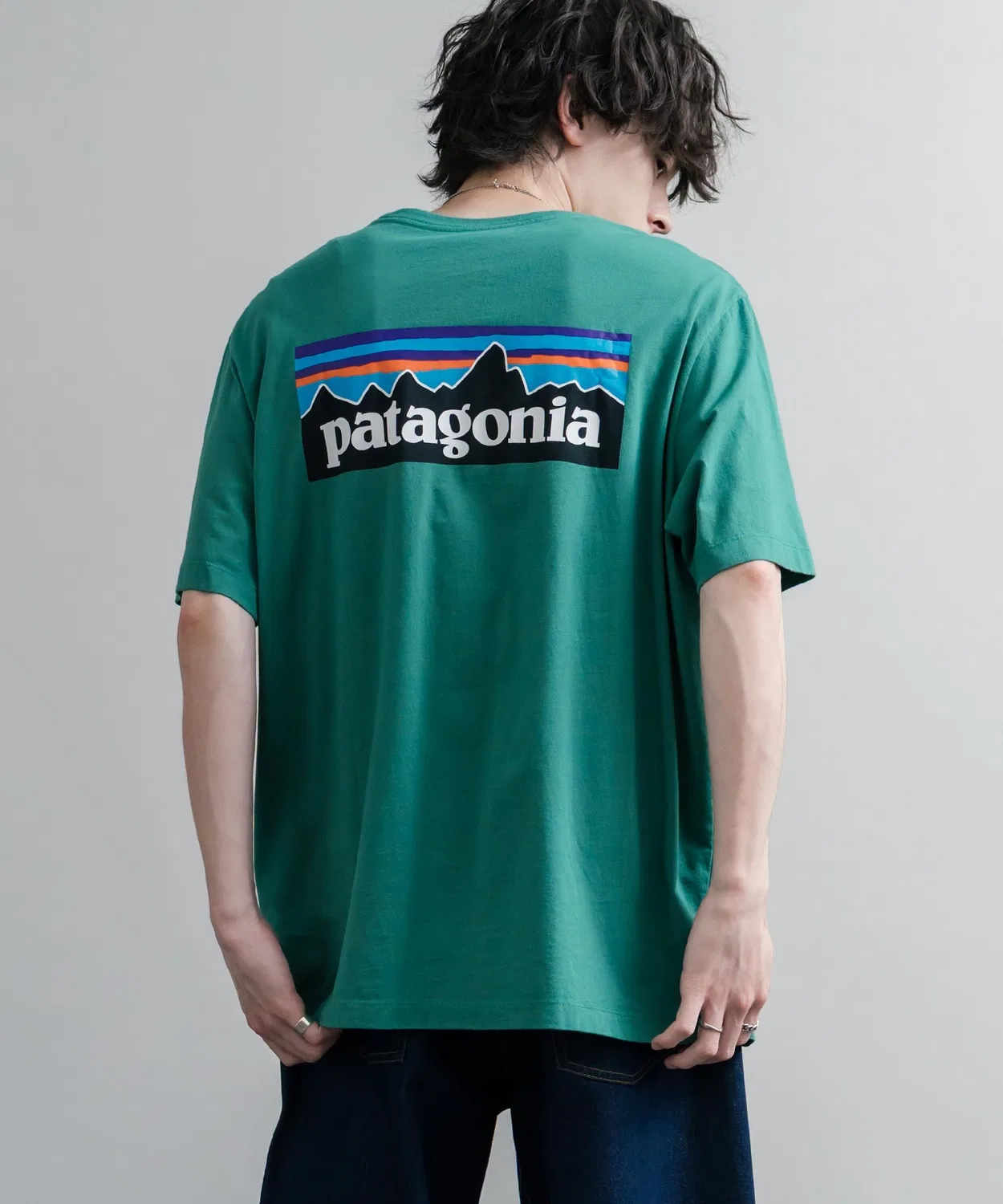Мужская футболка с принтом P-6 Logo Patagonia, Green