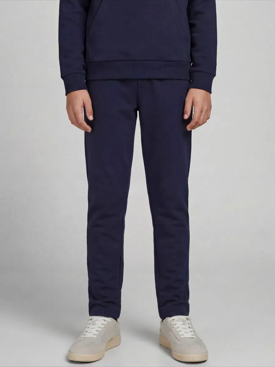 Брюки JJ Rebel Regular Pants 'JREBCREST' темно-синего цвета