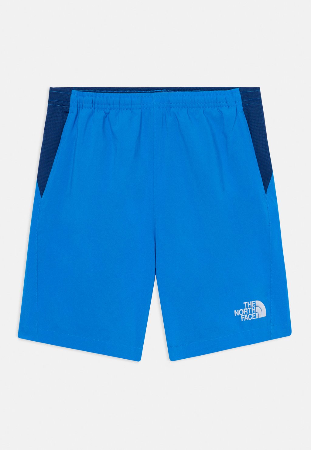 

Шорты REACTOR UNISEX The North Face, синий