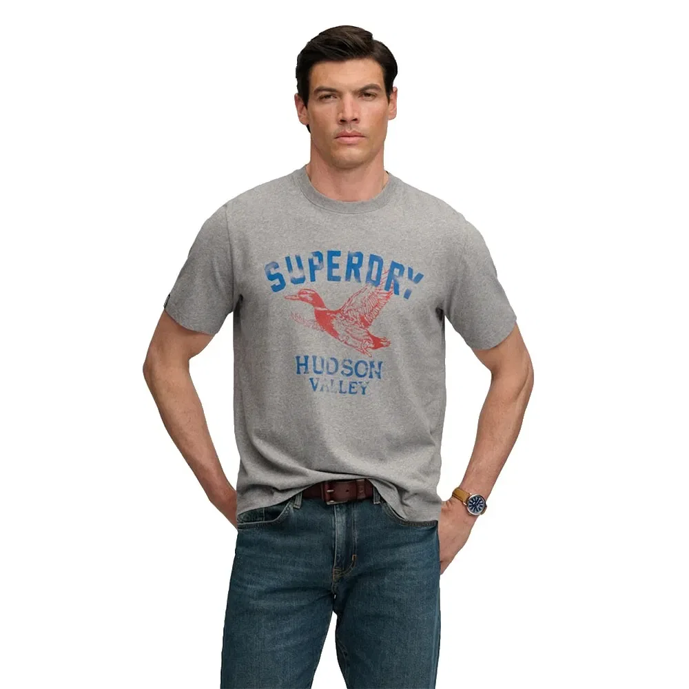Мужская футболка свободного кроя Wild Frontier Superdry, Grey