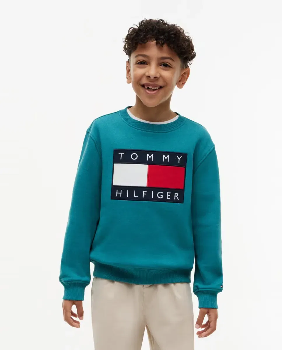 Детская худи для мальчиков с логотипом Tommy Hilfiger, Verde Oscuro