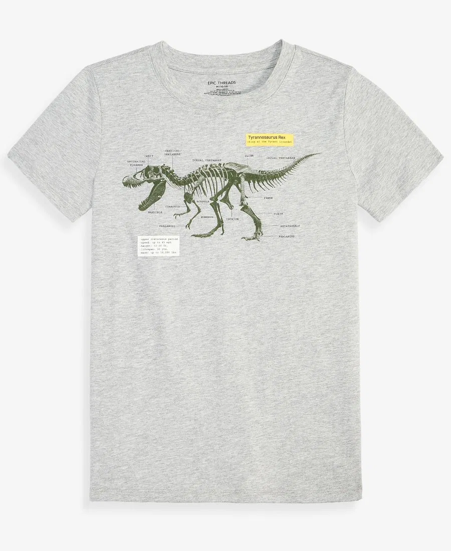 Футболка с принтом динозавра Epic Threads, Sterling Heather