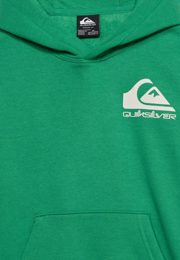 Худи унисекс с логотипом omni для подростков Quiksilver, Dark Green — фото 4