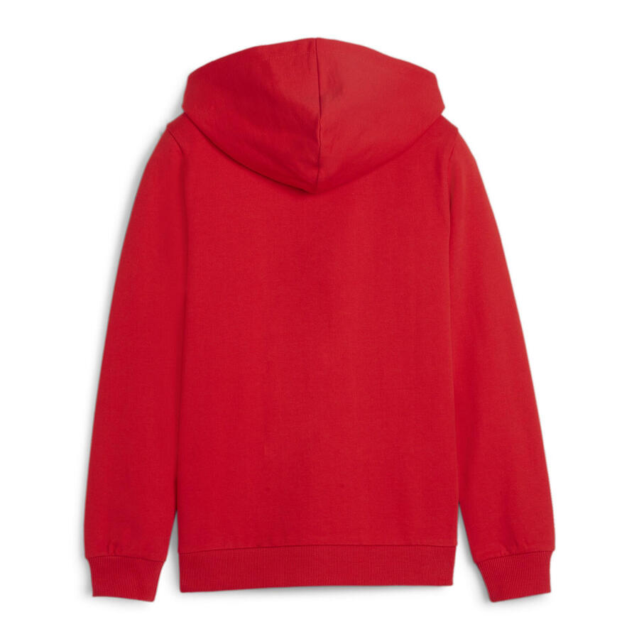 Мужская куртка с капюшоном Puma teamGOAL Casuals Hooded Jacket Jr 658596 — фото 2