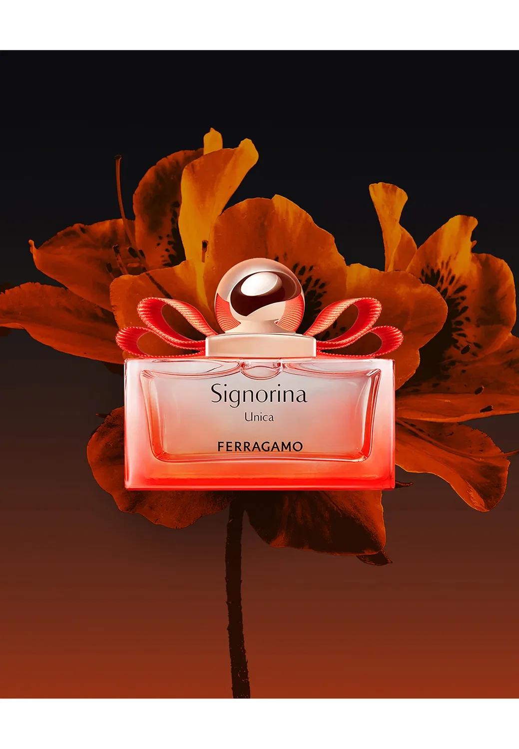 Подарочный набор Signorina unica (edp + лосьон для тела) - набор ароматов Ferragamo Fragrances, One Size — фото 4