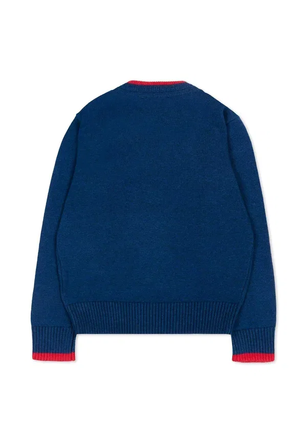 Джемпер хлопковый Maglioni Tru Trussardi Junior, синий — фото 2