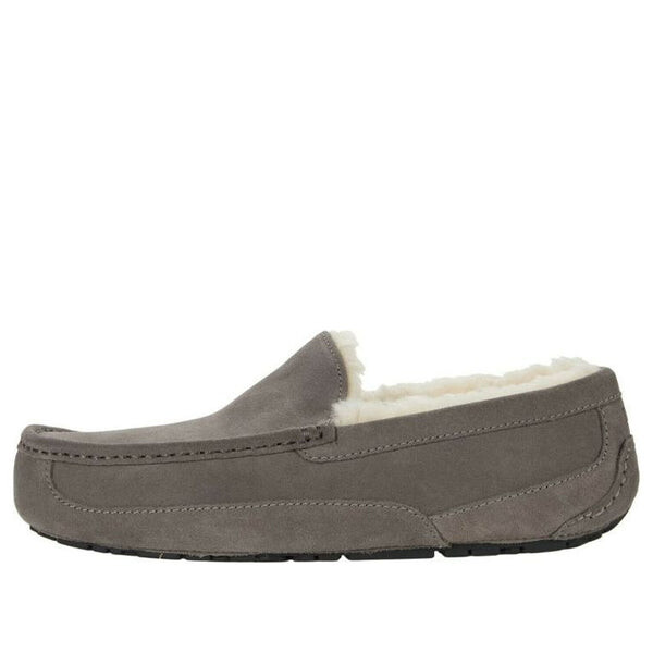 

Тапочки тапочки аскот Ugg, серый