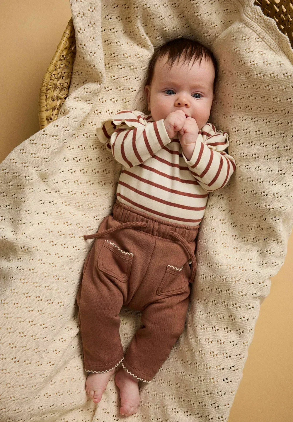 Тело Lil' Atelier, Turtledove