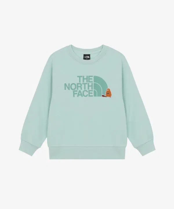 Детская футболка с длинным рукавом Animate The North Face Kids