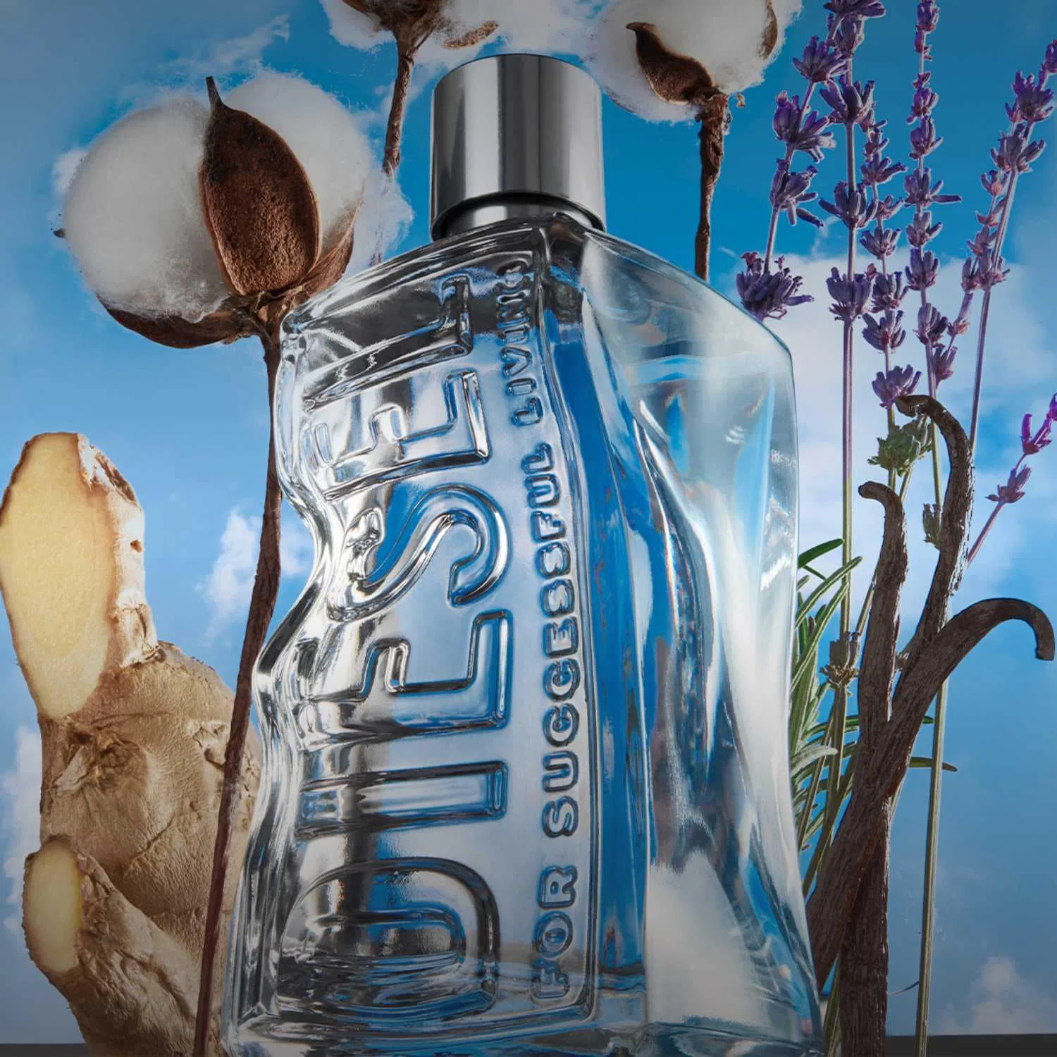 Туалетная вода 50 мл фужерно-амбровая DIESEL — фото 2