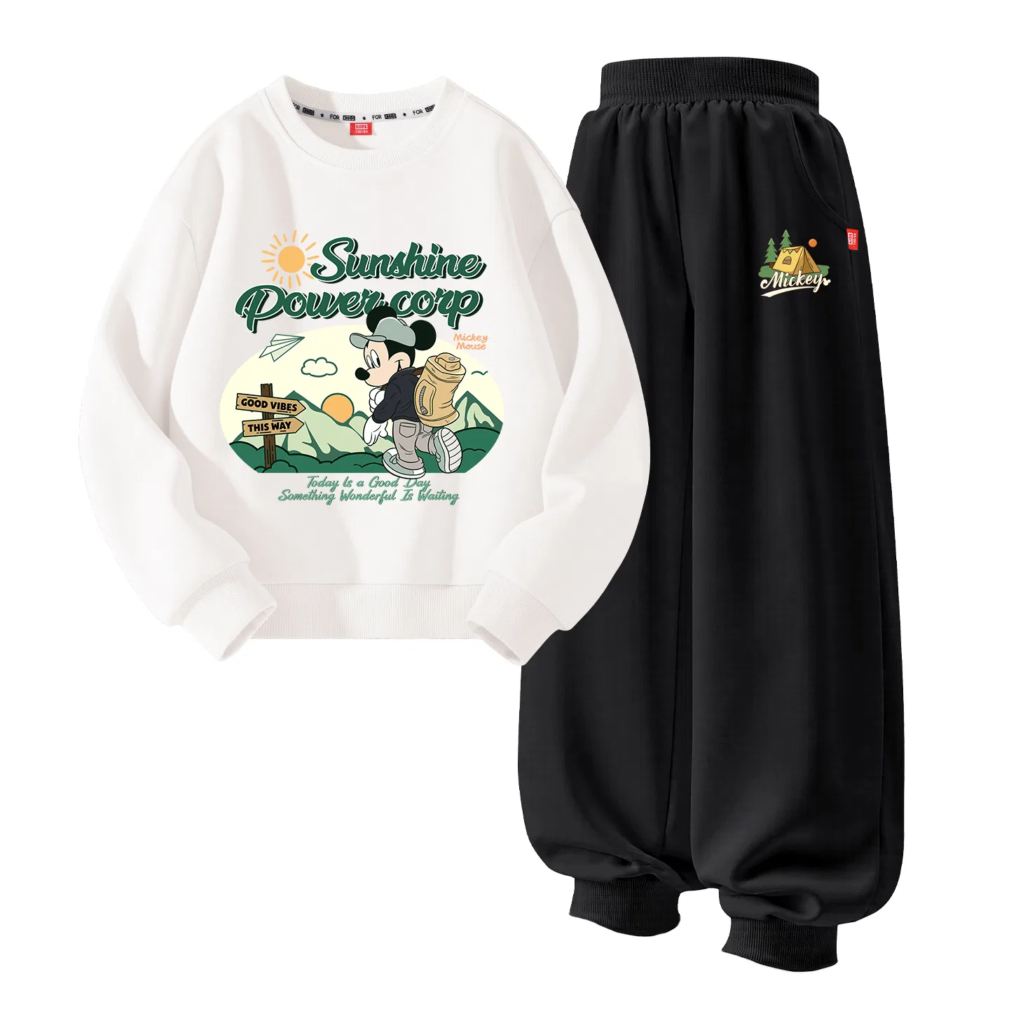 Детский спортивный костюм с принтом Disney, Black Burgundy Floral