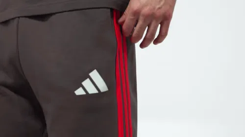 Мужские шорты на флисе с кулиской Audi Revolut F1 Team DNA Short Adidas Performance, черный — фото 2
