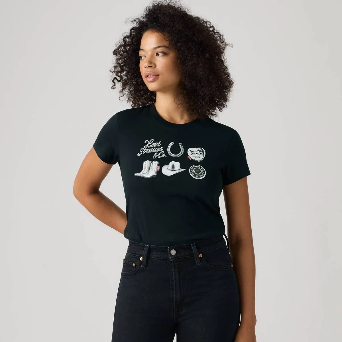 Футболка с идеальным графическим рисунком Levi's, Archival Silver Grid Anthracite - Black