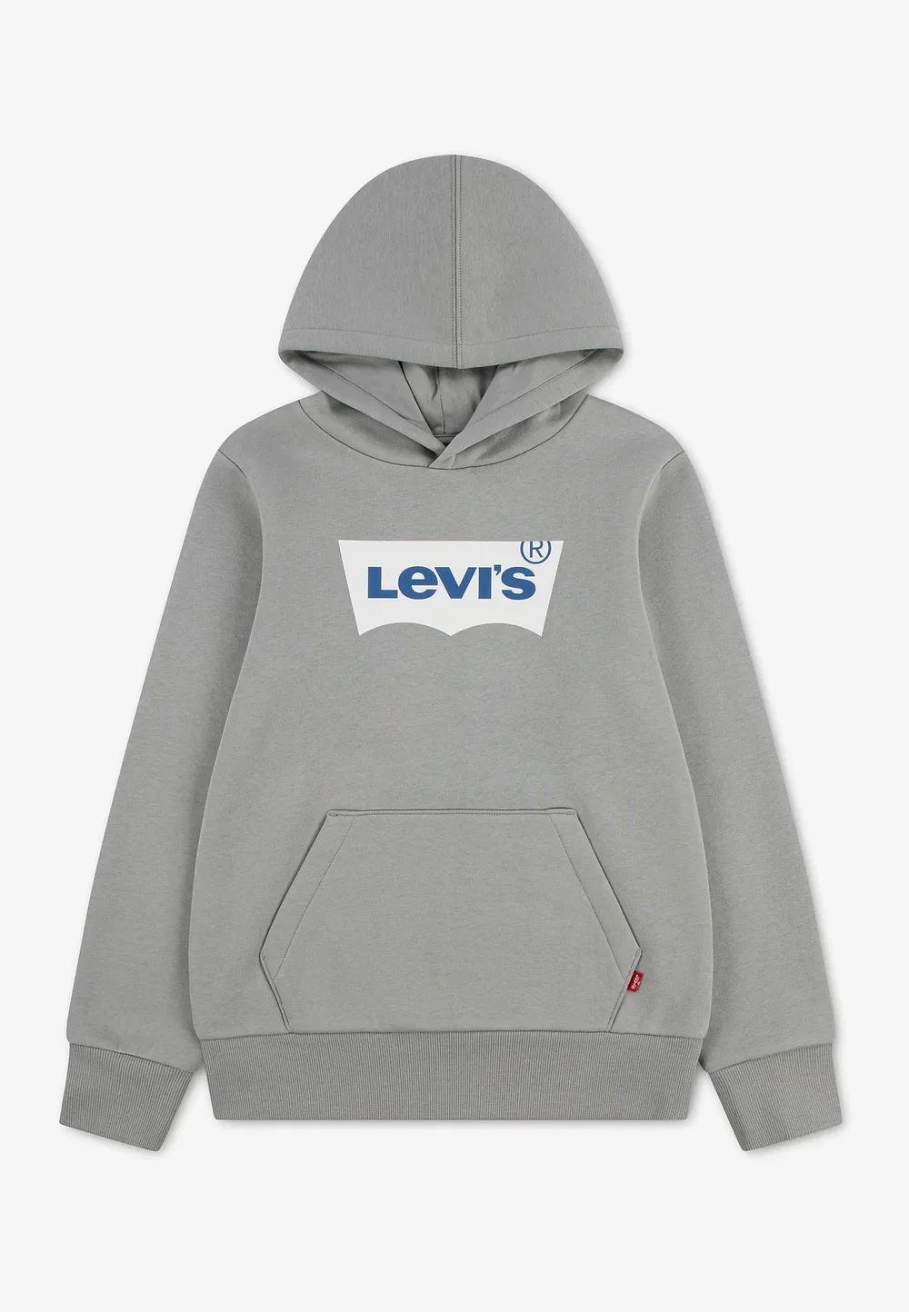 Худи унисекс с принтом "крыло летучей мыши" Levi'S, Ghost Gray