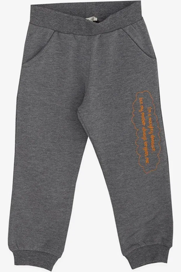 Детский комплект спортивного костюма для мальчиков с принтом Dinosaur Patterned Breeze, Mustard Yellow — фото 4