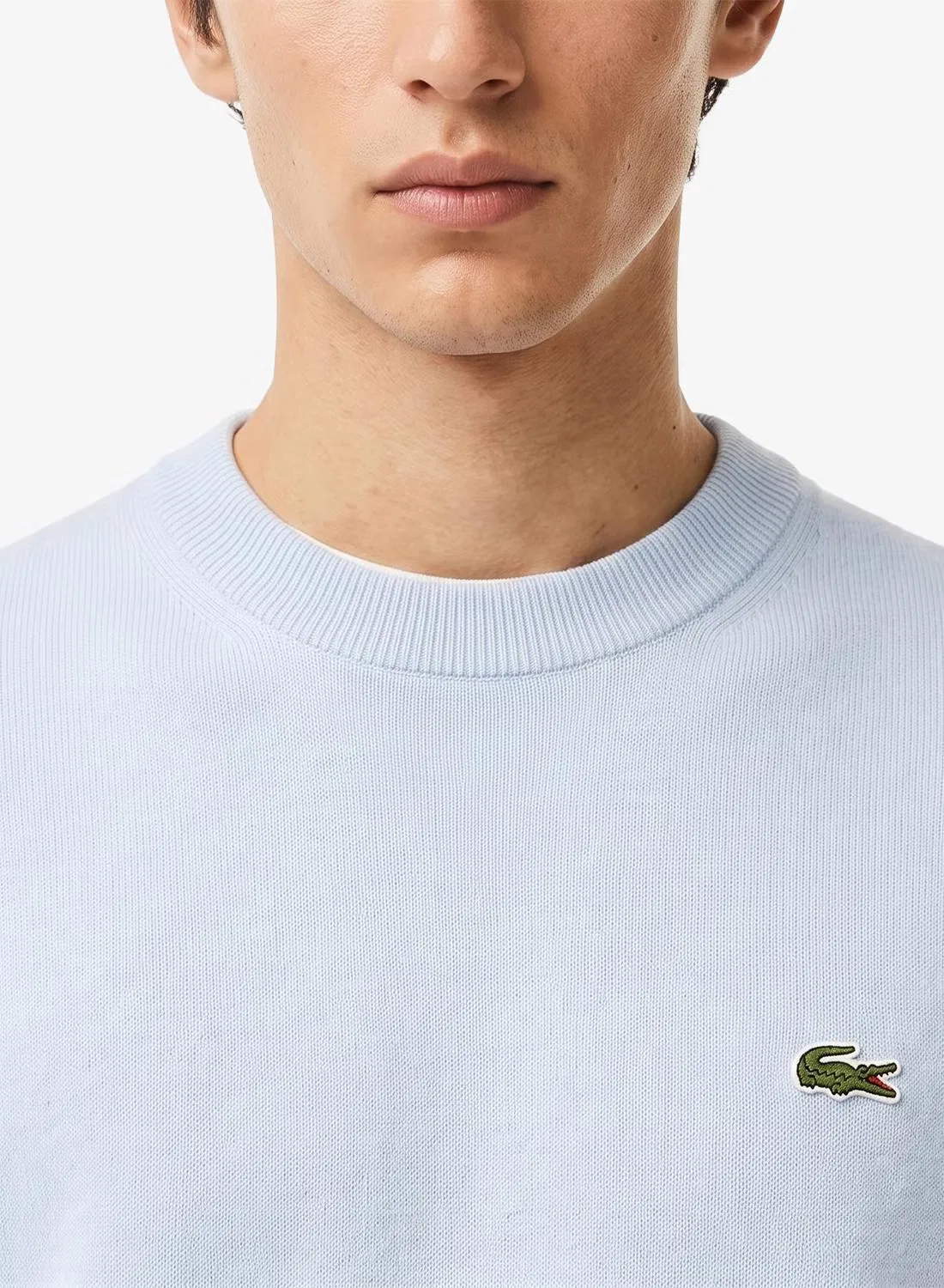 Пуловер с логотипом Lacoste, рилл — фото 3