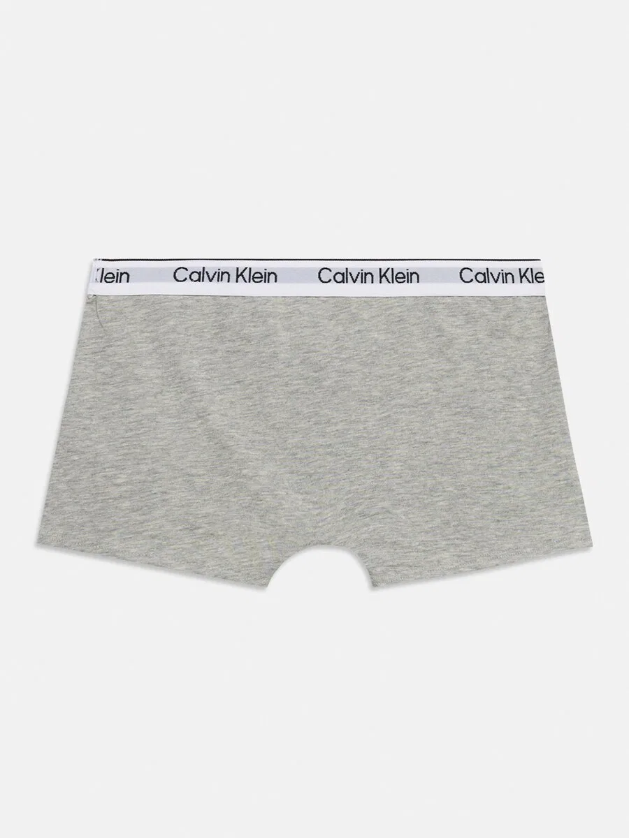 Трусики Calvin Klein Underwear коричневого и серого цвета с пятнистым рисунком — фото 2