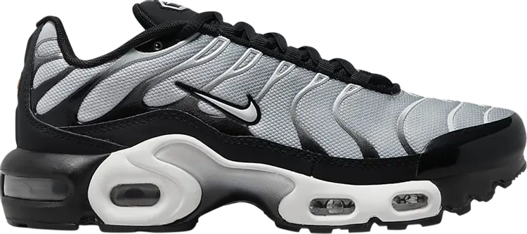 

Кроссовки Nike Air Max Plus GS 'Black Metallic Silver', черный