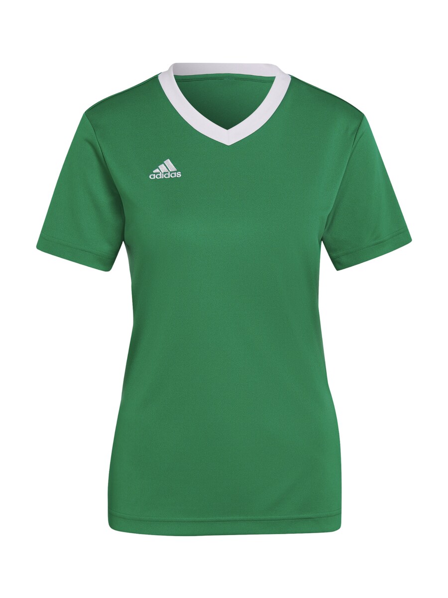 

Джерси ADIDAS PERFORMANCE Entrada 22, зеленый