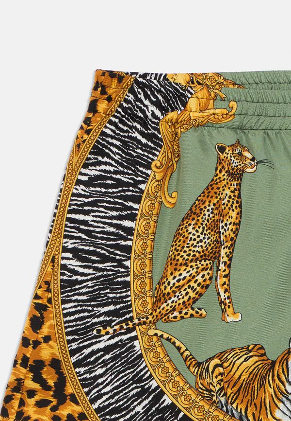 Шорты унисекс с изображением диких кошек Versace, Sage Green/Black — фото 3