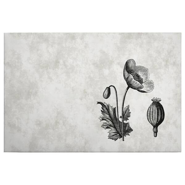 

Картина на холсте A.S. Création Floral цвет grau/schwarz