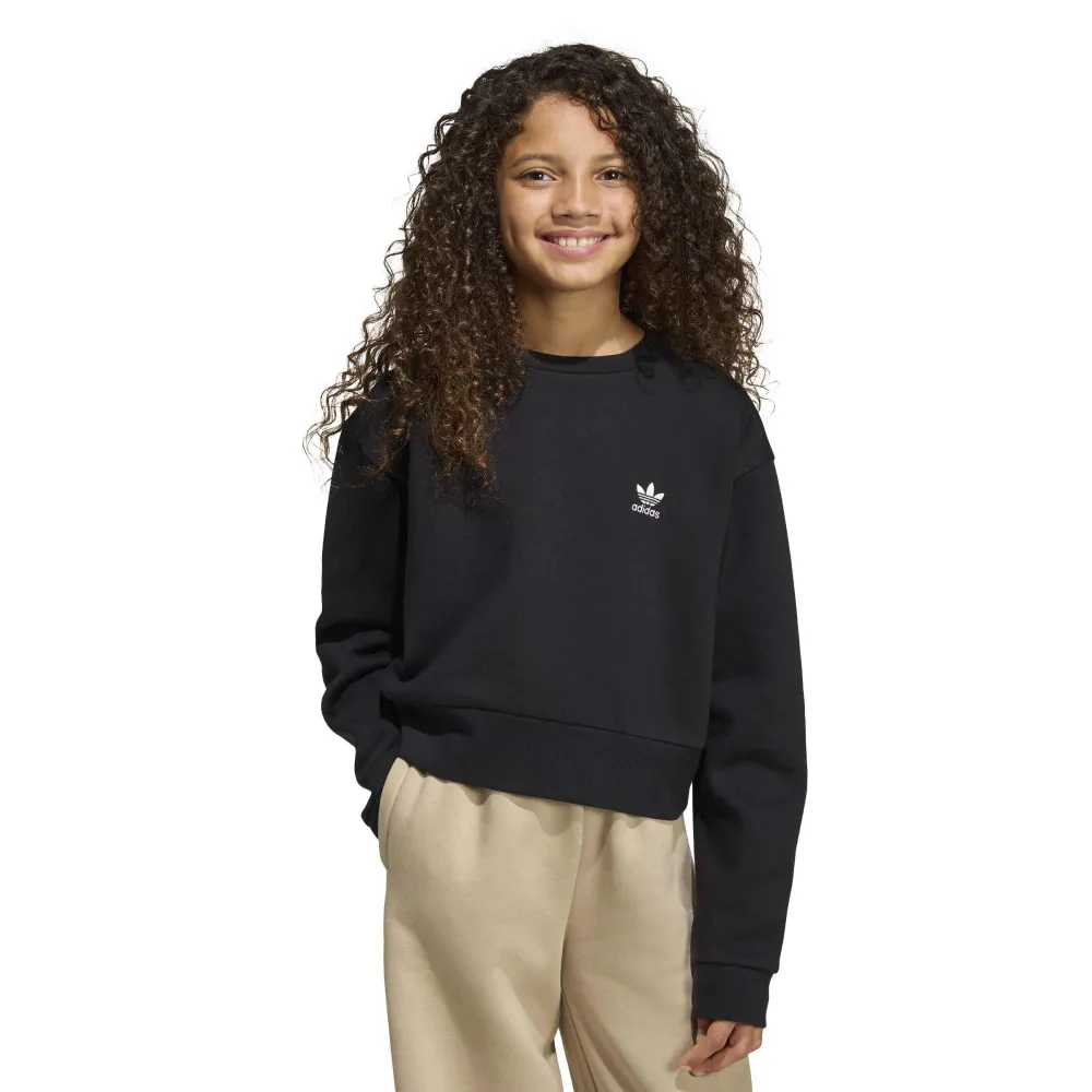 

Толстовка adidas Originals Boxy Crew, черный