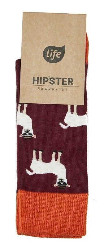 

Носки Life Hipster Lama, 39-42