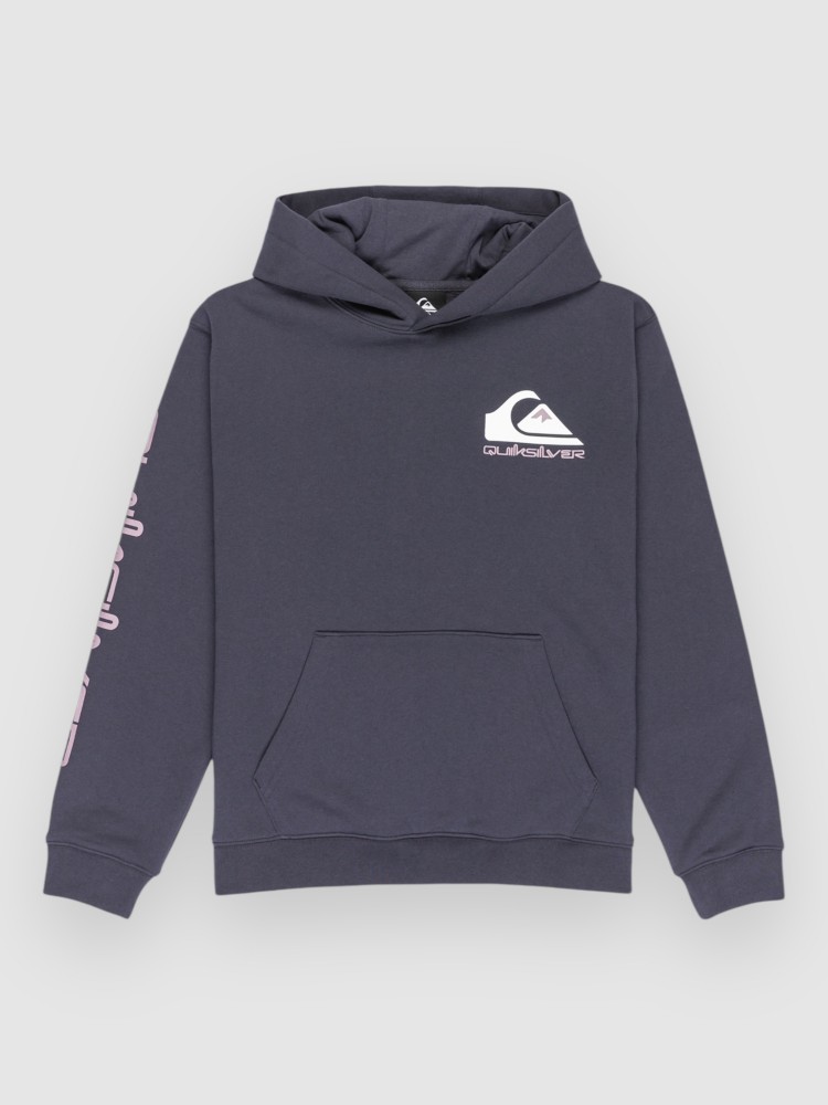 Толстовка Quiksilver Omni Logo Kids Hoodie, india ink — фото 3