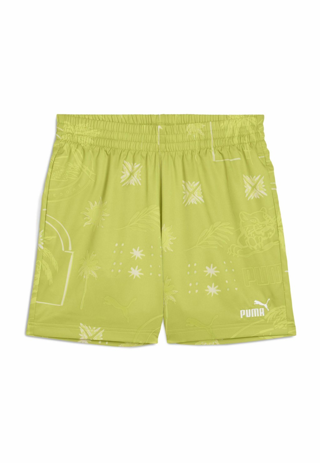 

Шорты Tracksuit bottoms Puma, зеленый