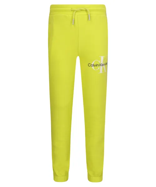 

Спортивные штаны Regular fit Calvin Klein Jeans, зеленый