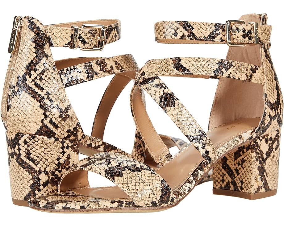 Туфли Circus NY by Sam Edelman Stella, цвет Taupe Multi Savannah Snake