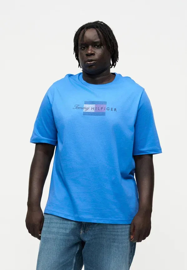 Футболка Tommy Hilfiger Script Flag Tee Brand Love Print, синий