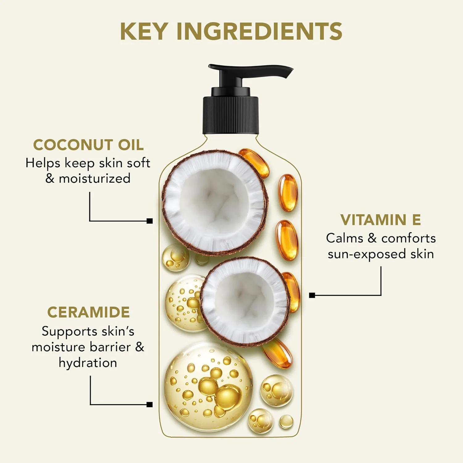 Лосьон для тела Botanic Hearth Coconut and Ceramide, 473 мл Botanic Hearth — фото 3
