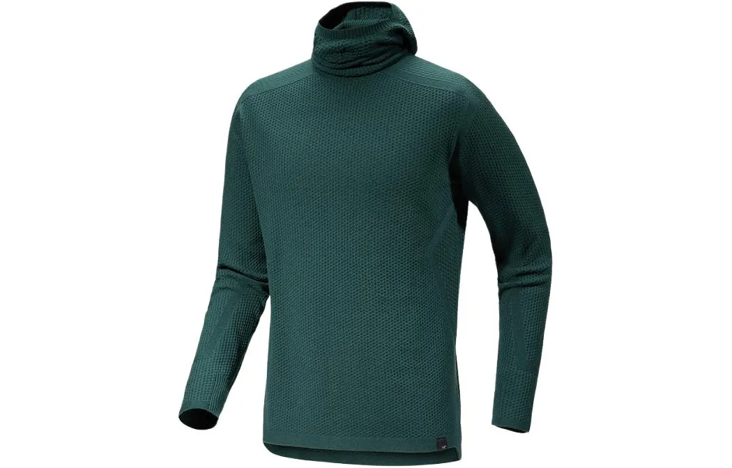 Толстовка с капюшоном из мериносовой шерсти HALLAM для мужчин Arcteryx, Pale Green/Pytheas