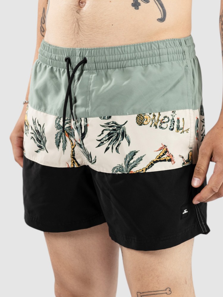 

Пляжные шорты O'Neill Mix & Match Cali Block 15'' Boardshorts, beige venice beach