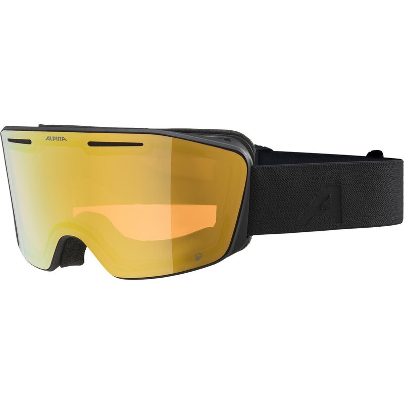 

Очки Nendaz Q Alpina, черный