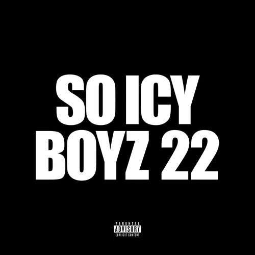 

CD диск Gucci Mane: So Icy Boyz 22