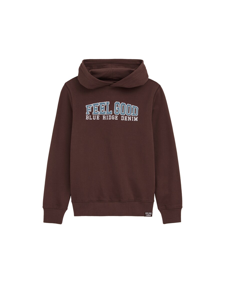 

Худи WE Fashion Sweatshirt, коричневый