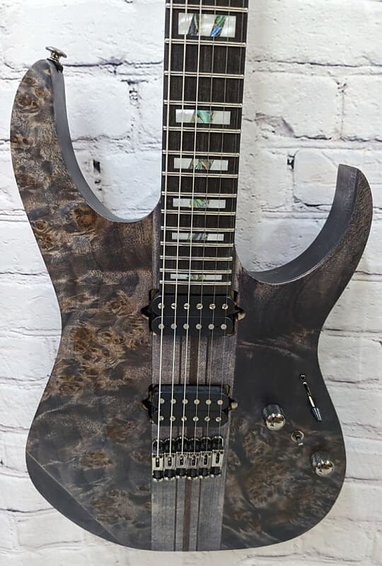 

Электрогитара Ibanez RGT1221PB Premium Guitar, Ebony Fretboard, Deep Twilight Flat 6.5 lbs