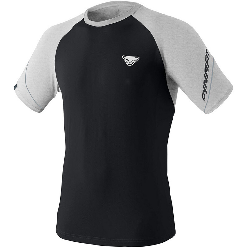 

Мужская футболка Alpine Pro Dynafit, черный