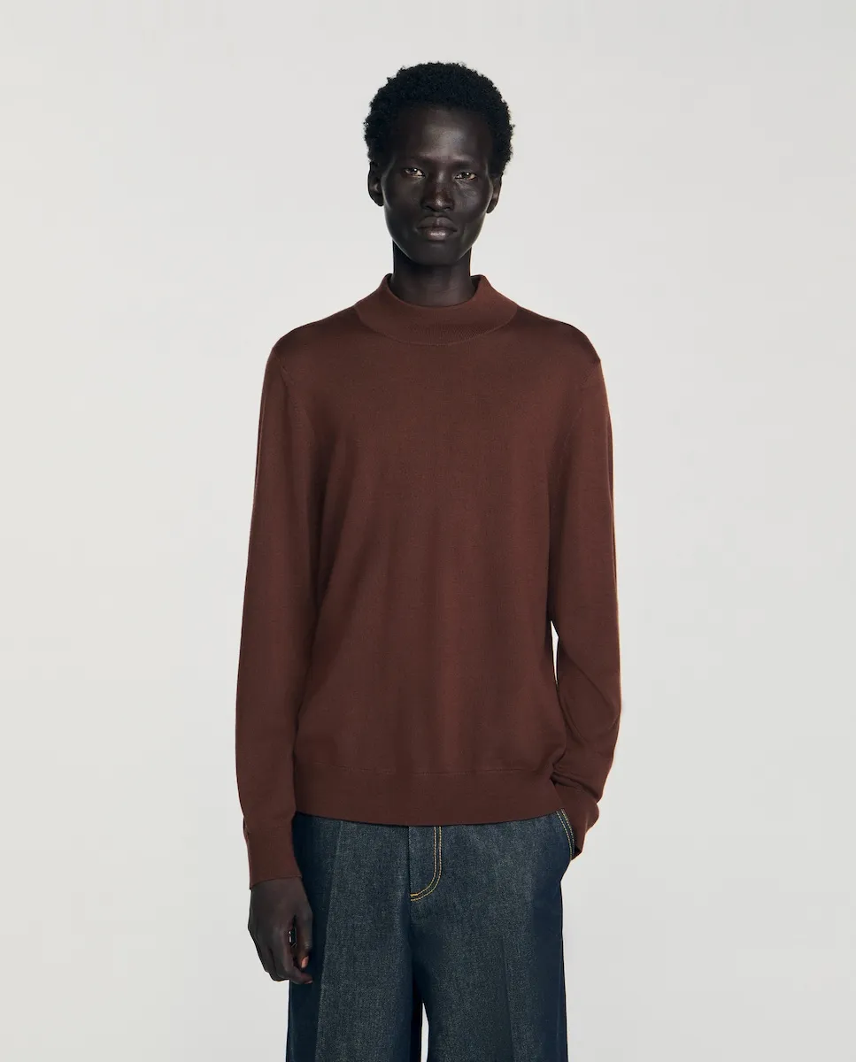 

Мужской свитер из шерсти с высоким воротником Sandro, коричневый