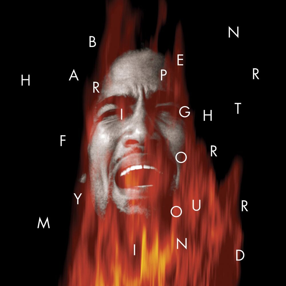 

Виниловая пластинка LP Fight For Your Mind - Ben Harper