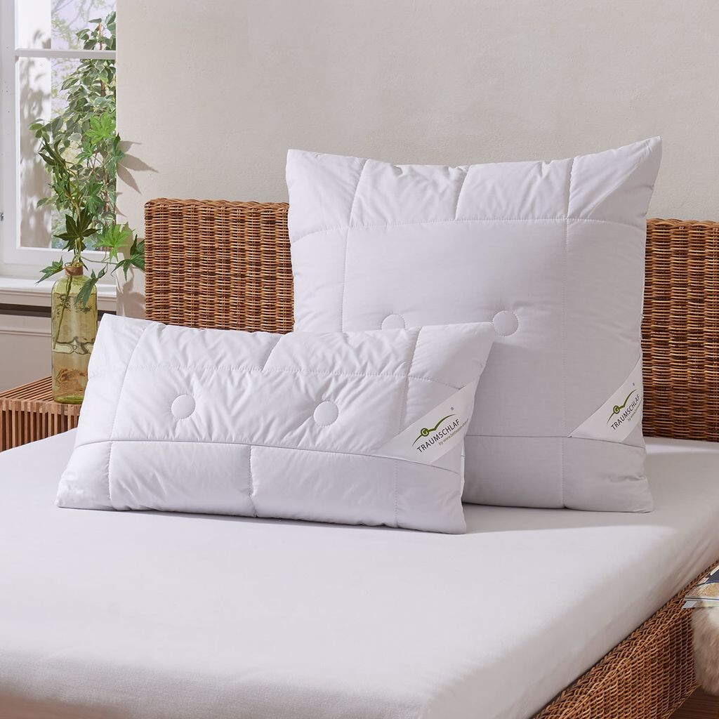 

Подушка Dream Sleep из верблюжьей шерсти 80x80 см Traumschlaf