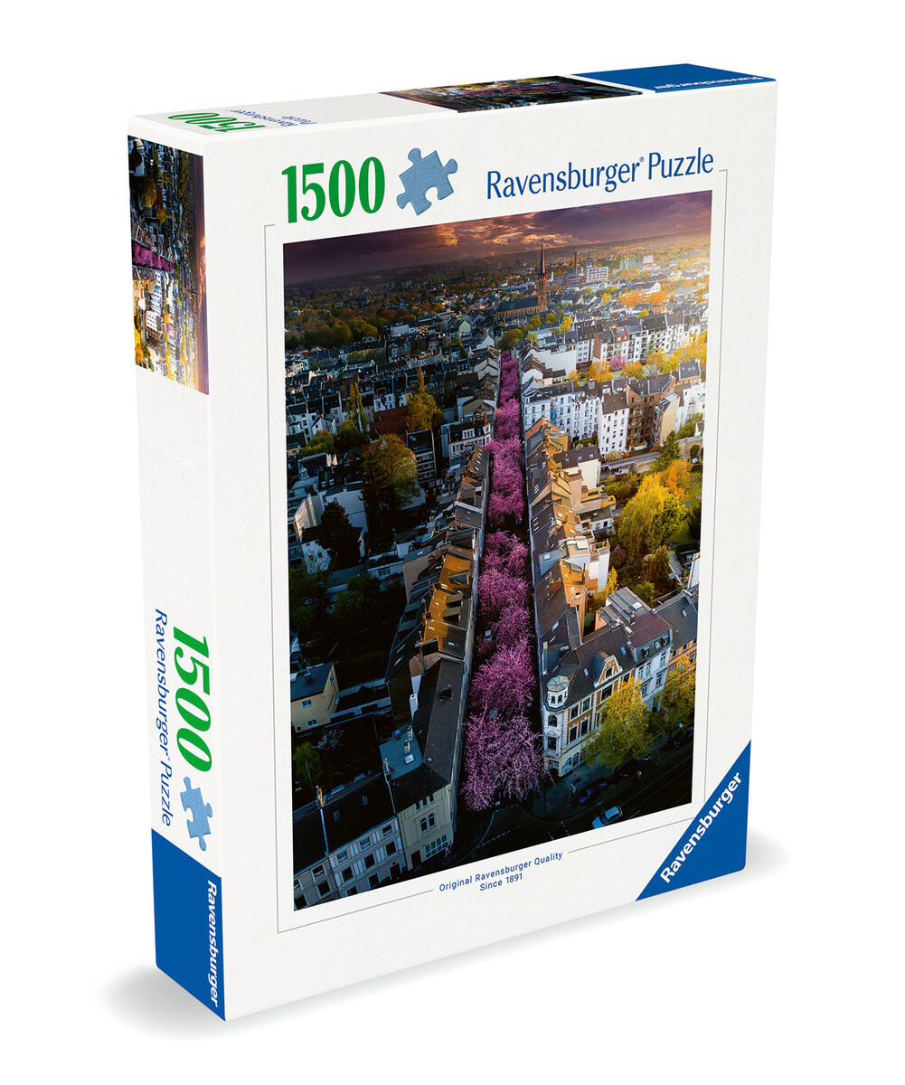 

2D пазл: Бонн, Германия 1500 деталей Ravensburger